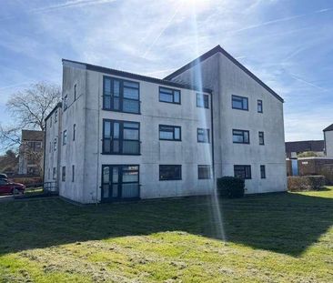 Little Cattins, Harlow, CM19 - Photo 5