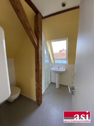 Spacieux 1 pièce type loft avec jardin - Photo 5