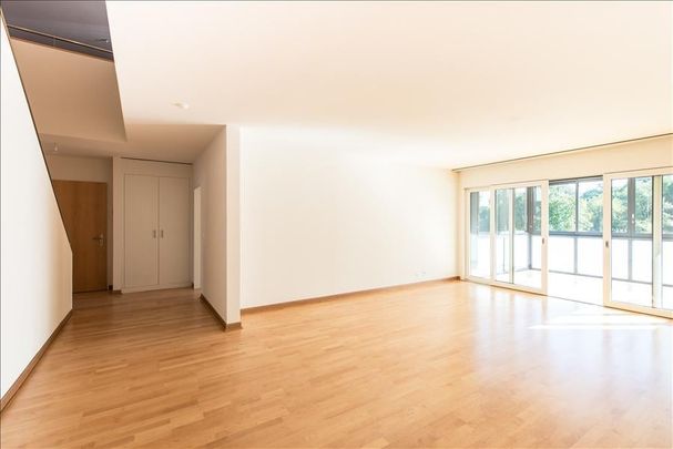 Magnificent duplex penthouse with view over the lake and large terraces - Photo 1