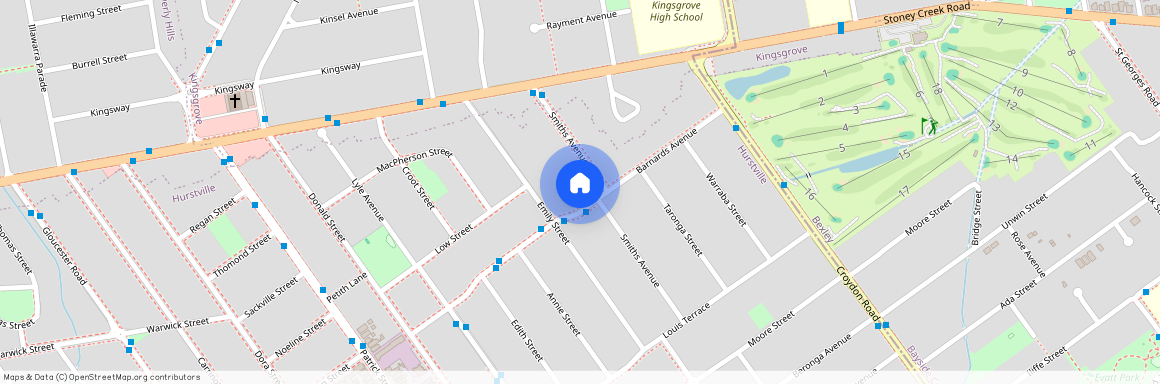 41A Smiths Avenue, NSW 2220, Hurstville