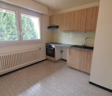 Location Appartement 3 pièces 54m² VIUZ EN SALLAZ 74250 - Photo 2