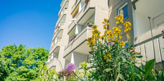 4-Raum-Erdgeschosswohnung mit Balkon - Foto 3