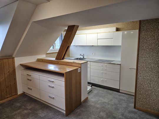 8. 1/2 Zimmer Wohnung auf dem Land mit Balkon - Foto 1
