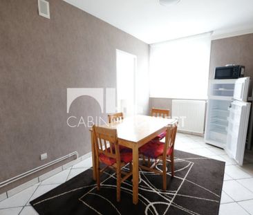 Location Appartement 1 pièce Meublé 40m² ST ETIENNE 42000 - Photo 2
