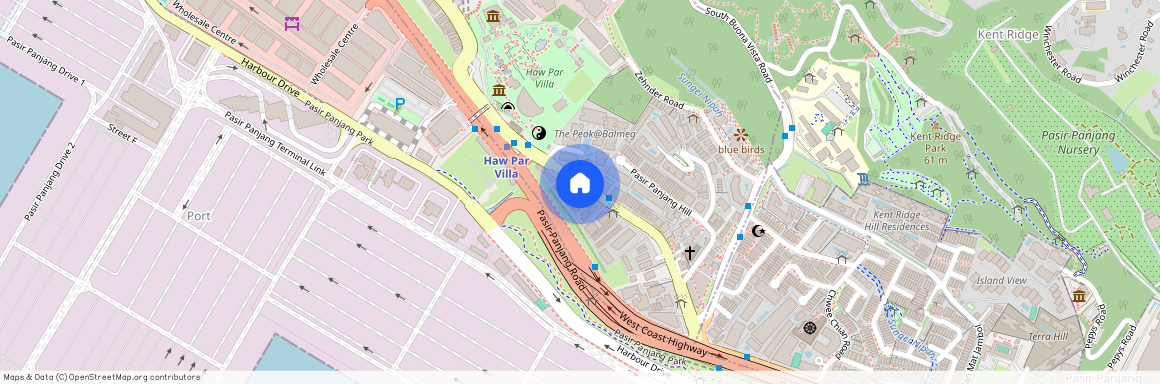 253B Pasir Panjang Road (117423), Singapore