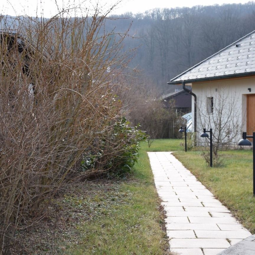 Garten, Terrasse, Sonne und Ruhe – Großzügige, top sanierte Maisonette an der Stadtgrenze - Photo 1