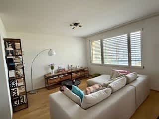 2.5 Zimmer, 71 m², EG - Foto 1