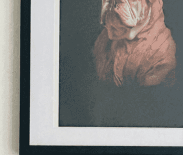 Architecturally Renovated 3-Bedroom Home - Photo 5