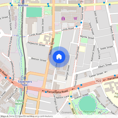 45 Upward St, Leichhardt, Sydney, New South Wales 2040