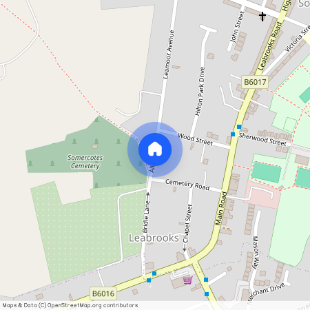 Albert St, Alfreton, DE55