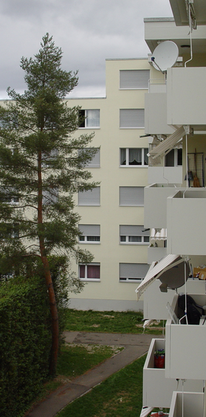 Ideale Familienwohnung in Pratteln - Foto 1