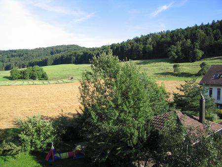 3-room attic apartment with fireplace - Photo 3