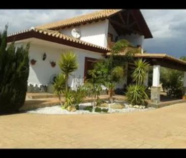 Alquiler de casa o chalet independiente en partido rural calahonda s/n - Photo 3