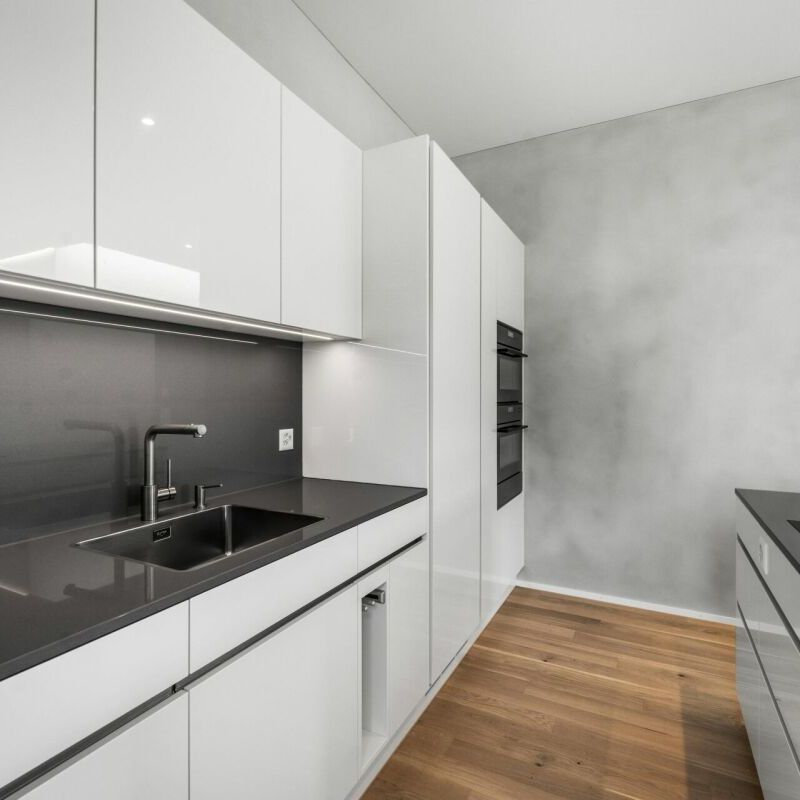 Exklusive Neubauwohnung mit beeindruckender Deckenhöhe und grosszügigem Dachgarten - Foto 1