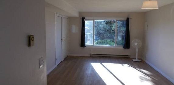 2 Bed Legal Suite Kelowna $1995 per month - Photo 2