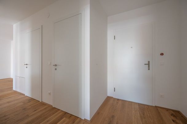 ++NEU++ Hochwertige 3-Zimmer Neubauwohnung mit optimalem Grundriss! ++Luftwärmepumpe++ - Photo 1