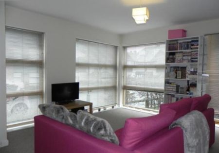 2 bed Apartment for Rent - Photo 4