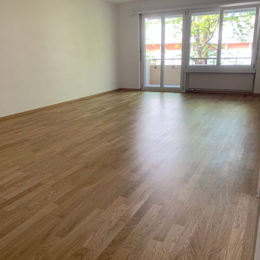 3 Zi.-Wohnung mit grosser Terrasse, stadtnah und ruhig - Photo 1