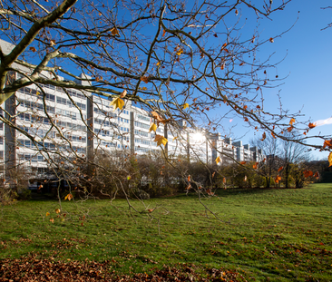 Thomsons Väg 54, Kryddgården - Foto 3