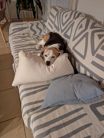 Mount Coolum - Photo 2