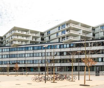 Mögen Sie es grosszügig? - Photo 5