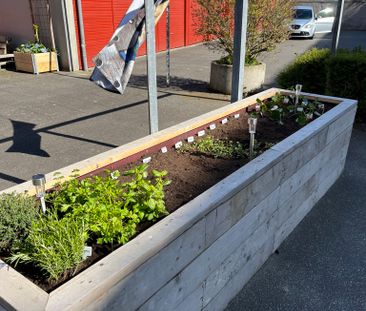 Hyggelig lejlighed i rolige omgivelser tæt på Aalborgs liv - Foto 4