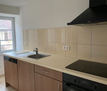 Location Appartement 2 pièces 57m² ALTKIRCH 68130 - Photo 4