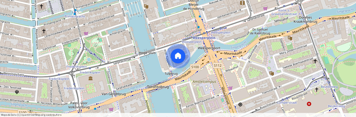 Prof. Tulpplein, 12, Amsterdam