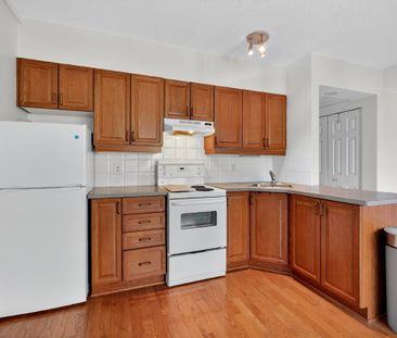 For Lease - 150 York Street Unit# 3A, Lower Town - Sandy Hill, Ontario - Photo 1