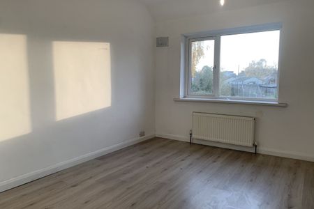 Fern Avenue - Photo 4