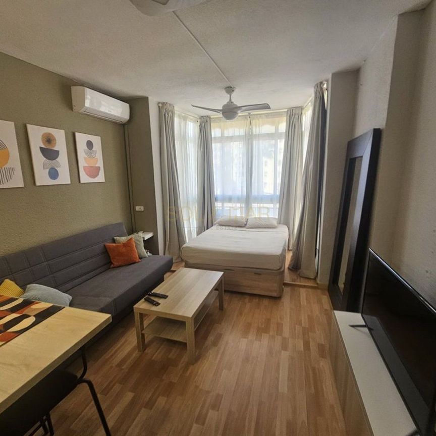 Alquiler de estudio en Avenida de los Manantiales - Foto 1