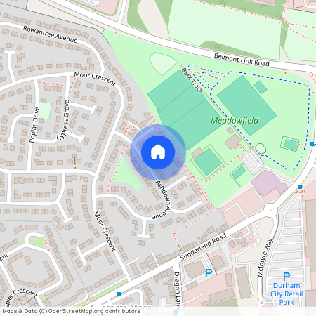 Elmfield Avenue, Durham DH1