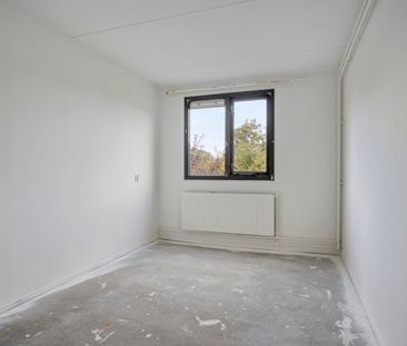 Tuinkersstraat 6, Kruidenbuurt, 2034MH, Haarlem - Photo 3