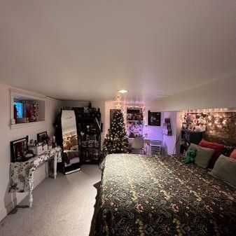 Cozy Basement Apartment - Photo 3