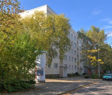 3-RW / Badewanne / Küche und Bad mit Fenster / Kautionsfrei - Photo 3