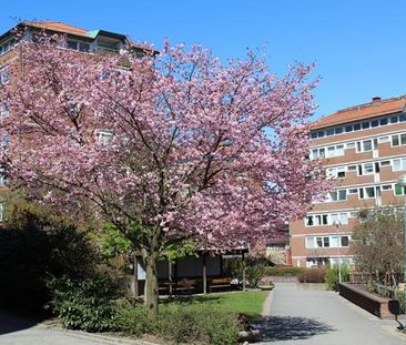 Landalabergen 35 - Photo 2