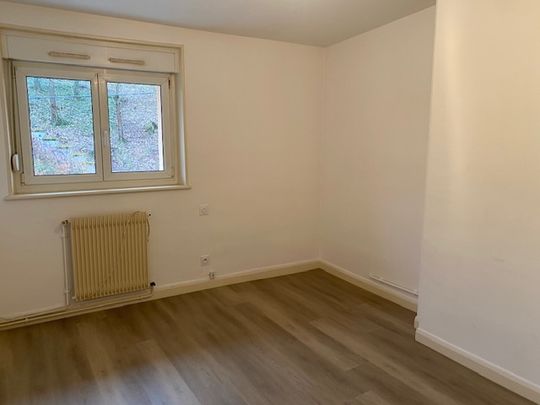 Location Appartement 2 pièces 30m² REMIREMONT 88200 - Photo 1