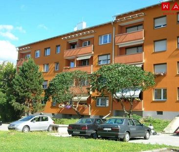 Gemütliche Singlewohnung im 2. OG mit Lift, zentrumsnahe, Ruhelage! - Foto 4