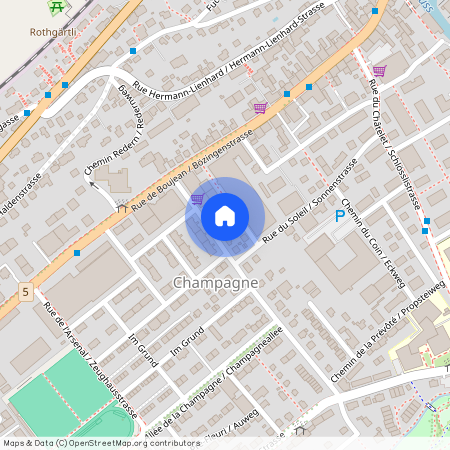 Chemin Vert 13, 2504, Biel / Bienne