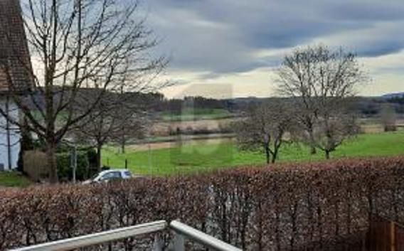 Wohnung in Wettswil - Photo 1