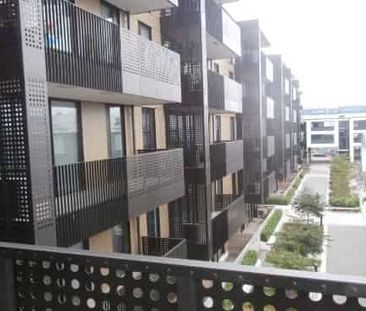 Near New Luxury Apartment - Photo 3