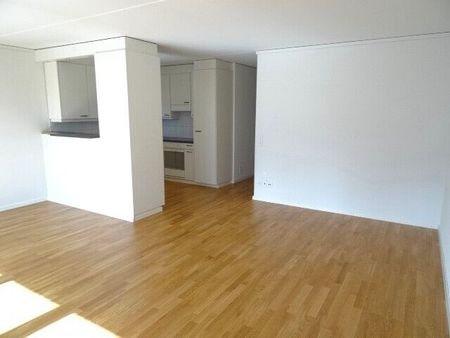 2.5-ZW à 67 m² im 7. OG mit Balkon - Photo 2