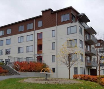 Kanslihusgränd, Östersund - Photo 5