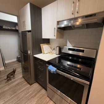 1 Bad 1 Bath - Photo 3