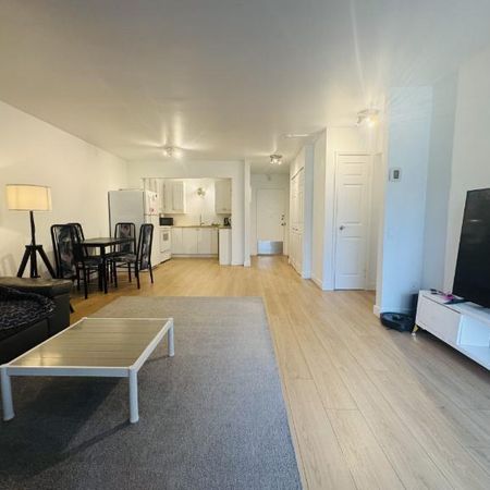Appartement 4 ½ à louer Sainte-Foy / Sillery juillet 2026 - Photo 3