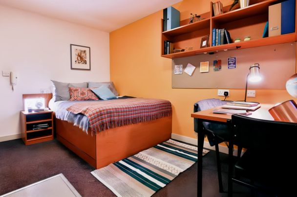 Classic Studio - Photo 1