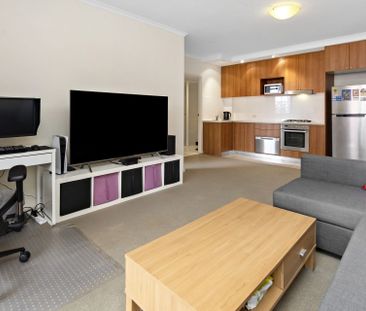 Executive apartment overlooking Mark Taylor Oval - Photo 2
