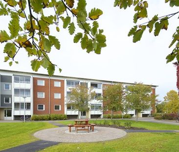 Valhallagatan, Skara - Foto 2