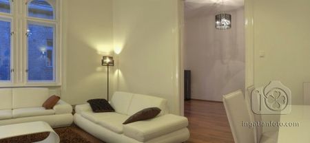 Paulay Luxury - Photo 5