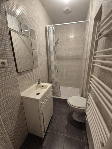 Location Appartement 2 pièces Meublé 43m² NANCY 54000 - Photo 5